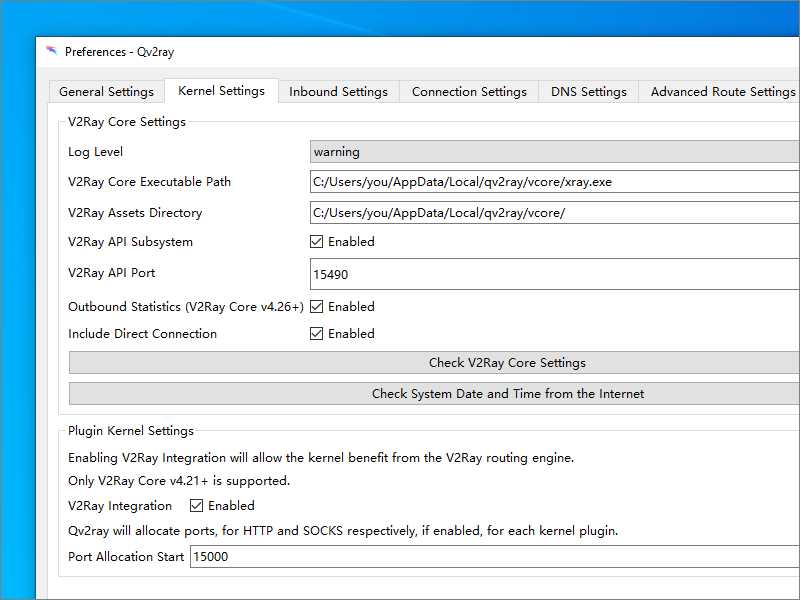 Qv2Ray Kernel Settings