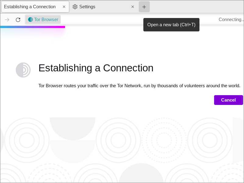 Tor Browser connecting to the Tor network